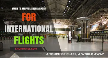 Best Time to Arrive at Lisbon Airport for International Flights