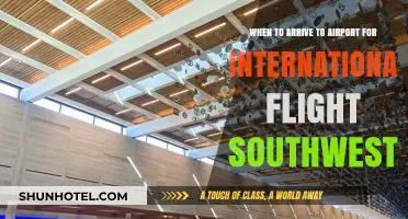 Southwest International Flight: Optimal Airport Arrival Time Tips