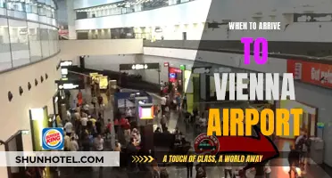 Arriving in Vienna: Navigating Airport Logistics Like a Local