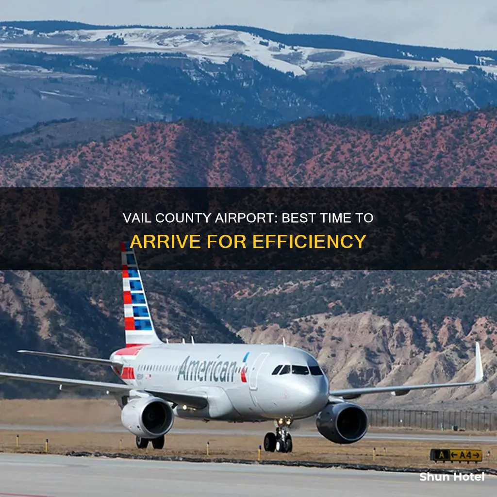 when to arrive vail county airport