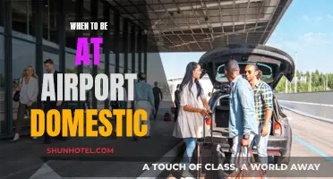 Arriving Prepared: Domestic Airport Timing Essentials