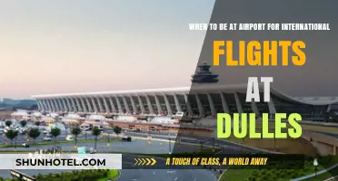 Navigating Dulles: Optimal Arrival Times for International Flights