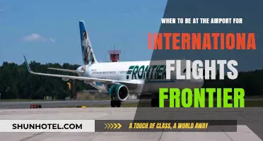 International Travel Tips: Ideal Airport Arrival Times for Frontier Flights