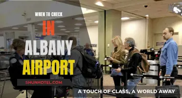 Arriving at Albany Airport: Check-in Time Considerations