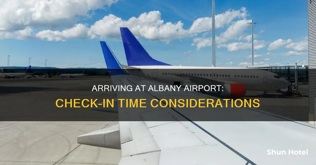 when to check in albany airport