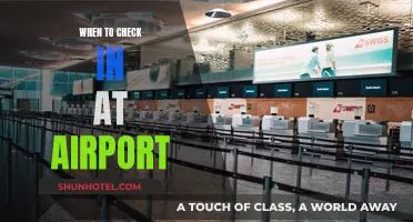 Arriving Early: Airport Check-In Timing Explained