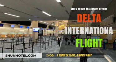 Delta International Flights: Optimal Airport Arrival Times for Stress-Free Travel