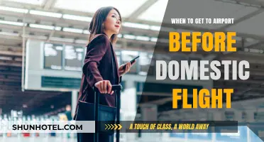 Domestic Flight Travel: Optimal Airport Arrival Time Tips