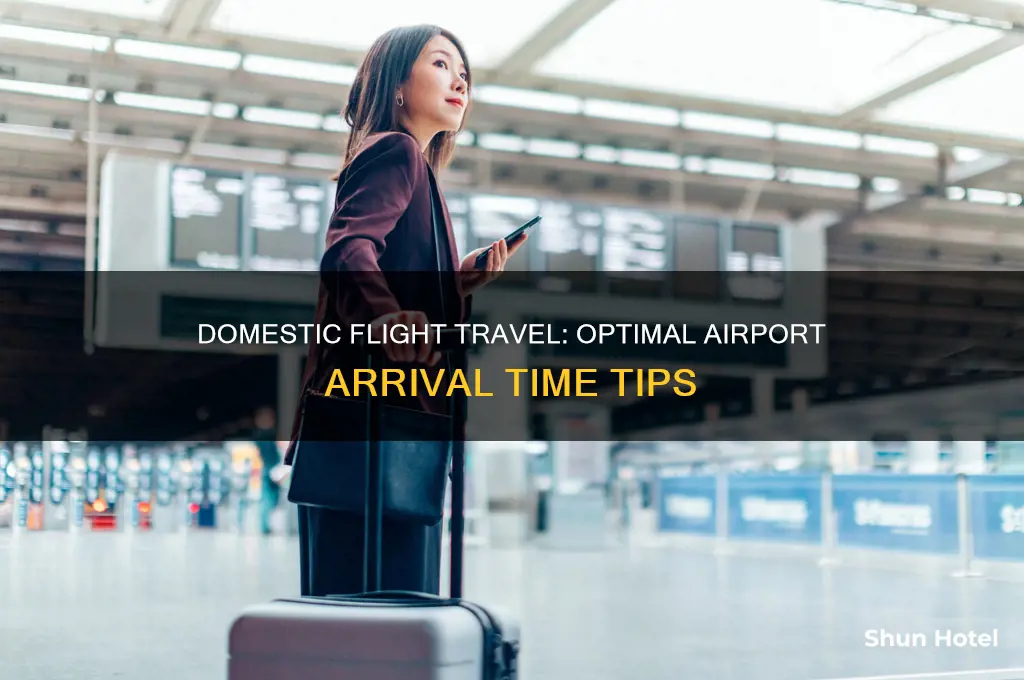 when to get to airport before domestic flight
