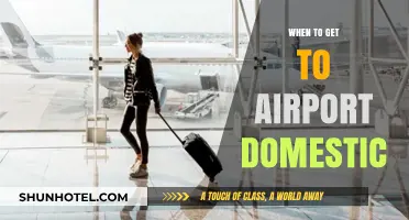 Perfect Timing: When to Arrive at the Airport for Domestic Flights