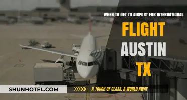 Austin International Flights: Optimal Airport Arrival Times and Tips