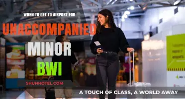 Navigating Unaccompanied Minor Travel: Optimal BWI Airport Arrival Times