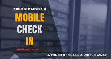 Mobile Check-In: Optimal Airport Arrival Times for Stress-Free Travel
