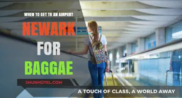 Newark Airport Baggage Tips: Timing Your Arrival for Stress-Free Travel