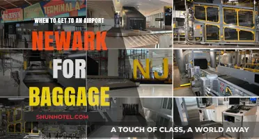 When to Arrive at Newark Airport for Smooth Baggage Check-In