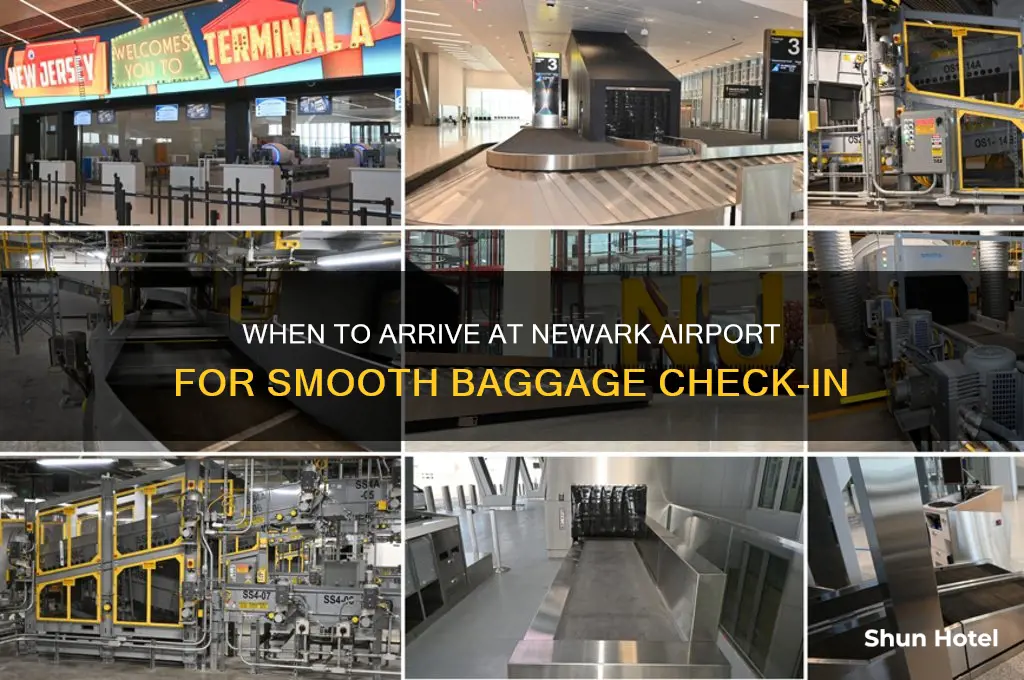 when to get to an airport newark for baggage