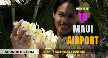 Best Time to Arrive at Maui Airport for Stress-Free Travel