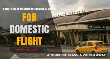 Medellin Airport Domestic Flights: Timing Your Arrival for Stress-Free Travel
