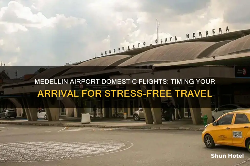 when to get to medellin international airport for domestic flight