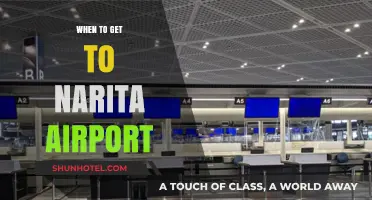 Best Time to Arrive at Narita Airport: A Travel Guide