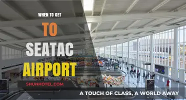 Best Time to Arrive at SeaTac Airport: Travel Tips & Advice