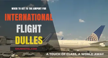 Navigating Dulles Airport: Optimal Arrival Times for International Flights