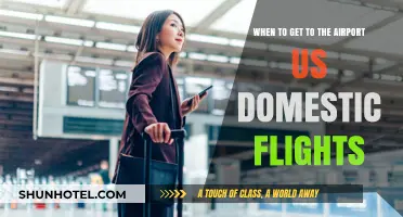 When to Arrive at the Airport for US Domestic Flights