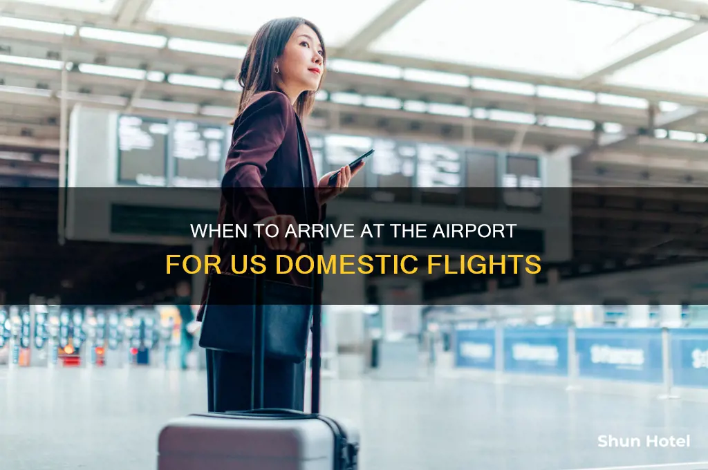 when to get to the airport us domestic flights