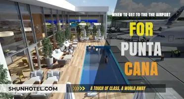 Punta Cana Airport: Arrival Time Recommendations
