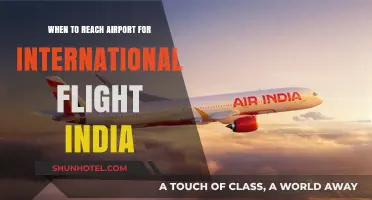 International Flights from India: Optimal Airport Arrival Timing Guide