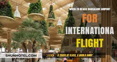 When to Reach Bangalore Airport for International Flights: A Guide