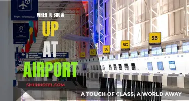 Arriving Prepared: Navigating Airport Arrival Times