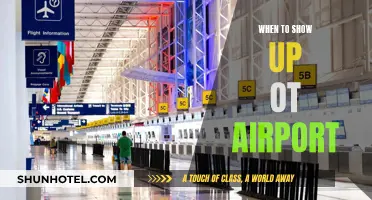 Arriving Prepared: Navigating Airport Arrival Times