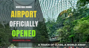 Changi Airport's Grand Opening: A Historical Milestone in Singapore