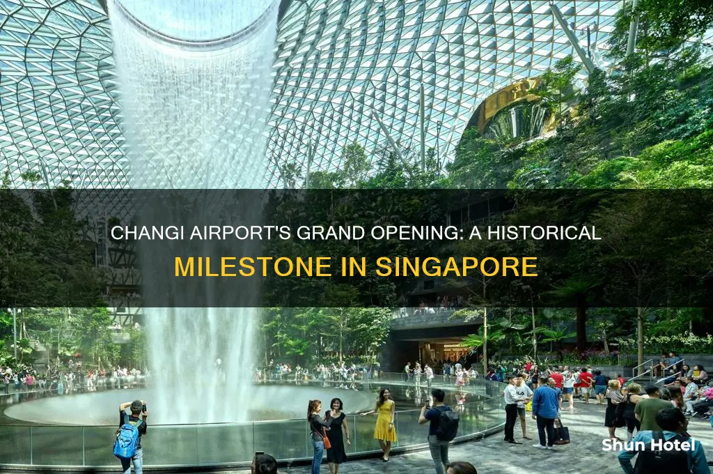 when was changi airport officially opened