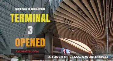 Changi Airport Terminal 3: A Look Back at Its Grand Opening