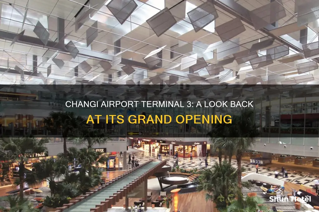 when was changi airport terminal 3 opened
