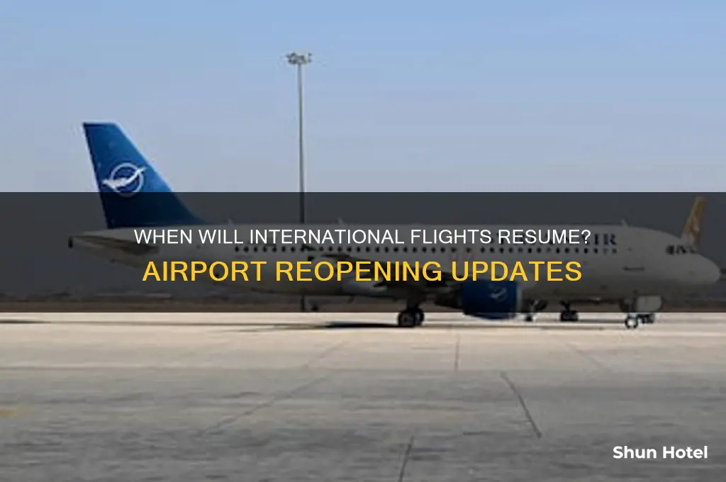 when will airports open back up for international flights