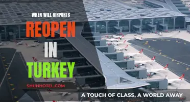 Turkey's Airports: Reopening Plans and Travel Updates