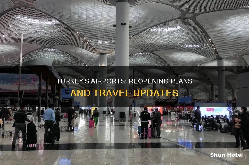 when will airports reopen in turkey