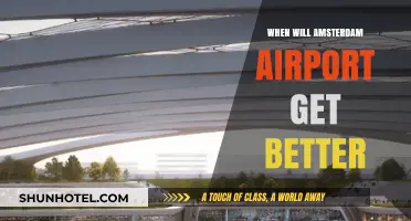 Amsterdam Airport's Future: When Will Travel Experience Improve?