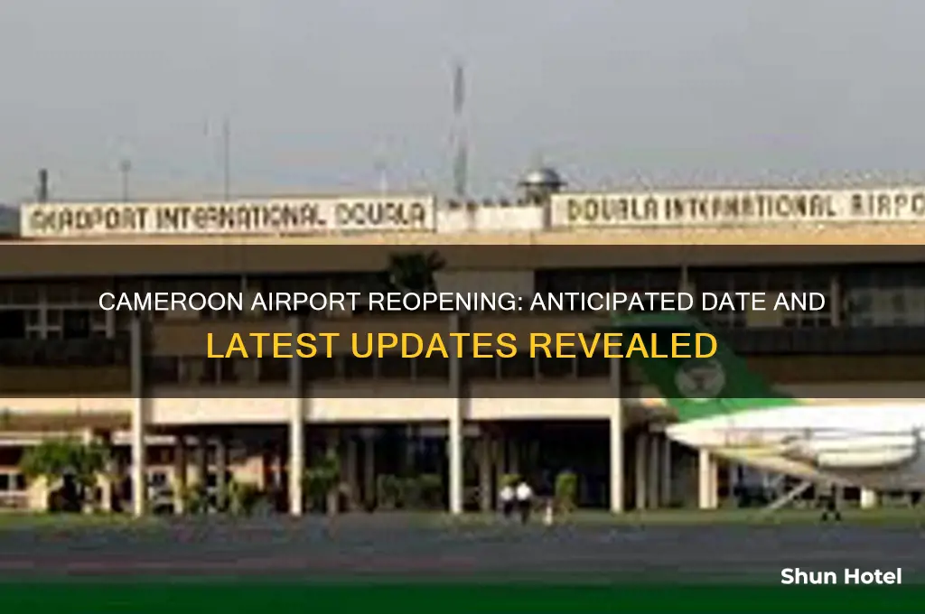 when will cameroon airport open