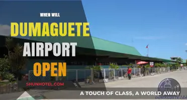 Dumaguete Airport Opening: Anticipated Launch Date and Updates