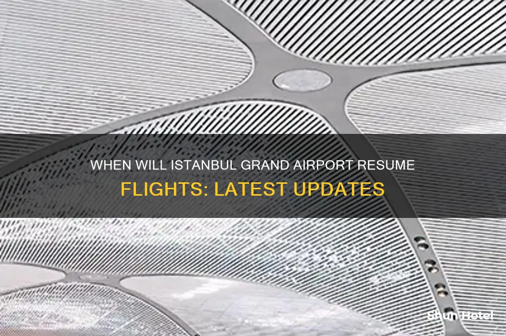 when will ilg airport be open for flights