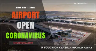 Istanbul Airport Reopening Amid Coronavirus: What Travelers Need to Know