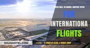 Istanbul Airport's International Flights: Launch Date and Travel Updates