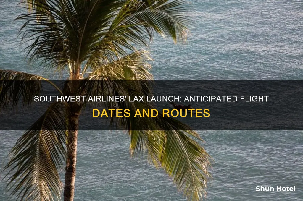 when will southwest fly out of lax airport