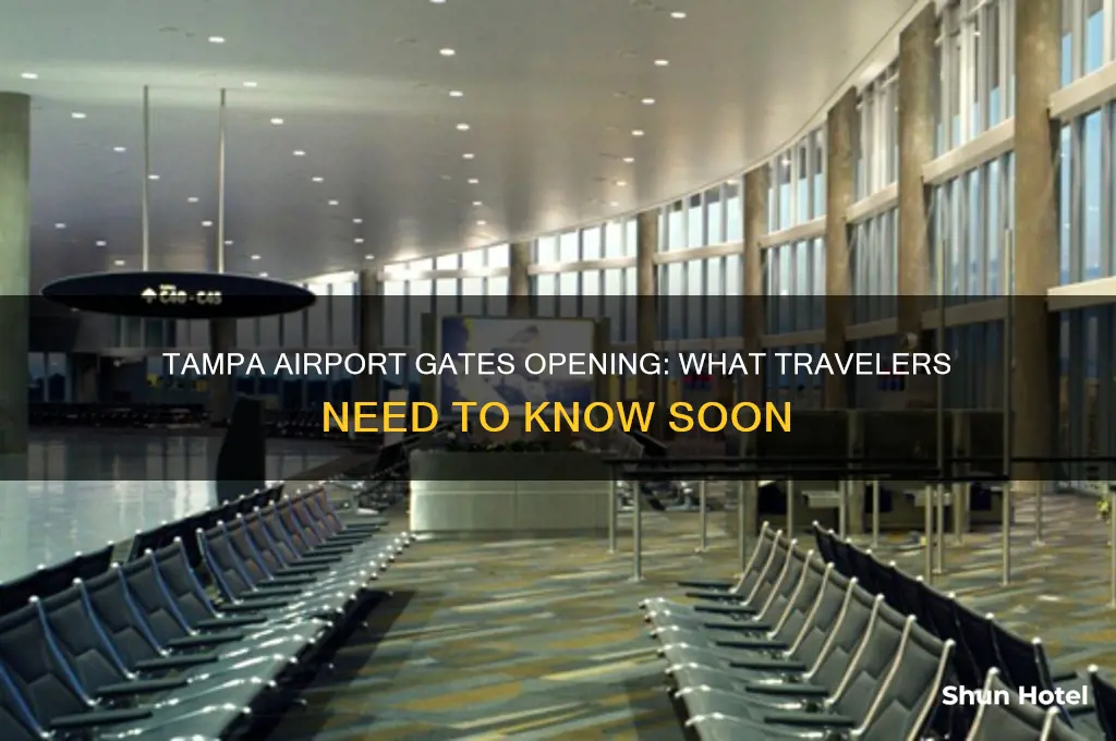 when will tampa airport open gates