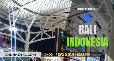 Bali's Dual Airport System: Navigating Indonesia's Travel Hub