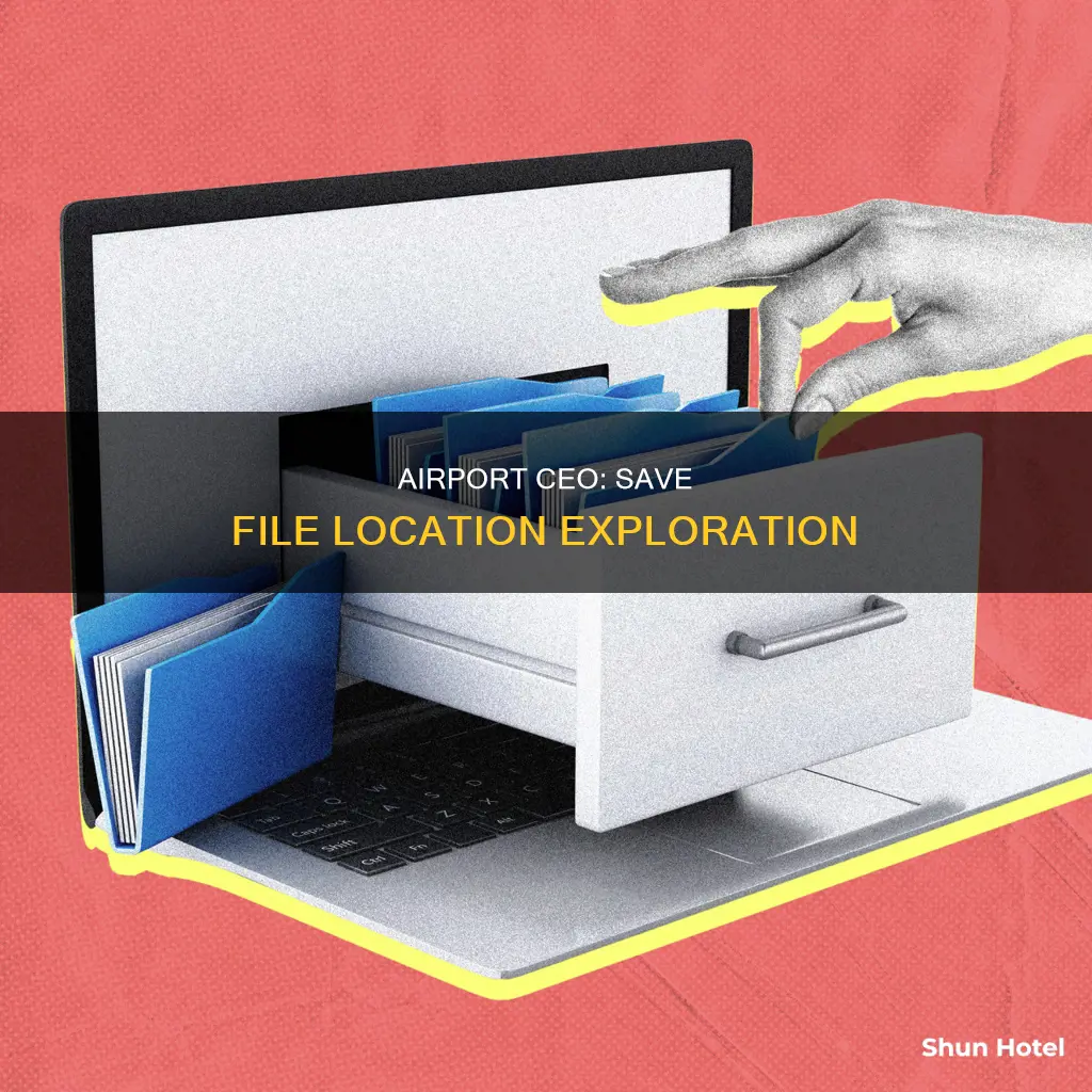where are airport ceo save files